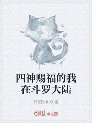 四神赐福的我在斗罗大陆