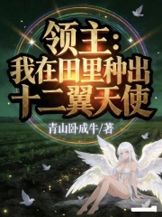 领主：我在田里种出十二翼天使