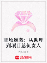 职场逆袭：从助理到项目总负责人在线阅读