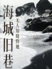 海城旧巷在线阅读