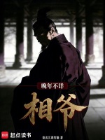 相爷晚年不详封面
