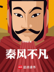 秦风不凡在线阅读