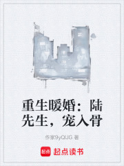 重生暖婚：陆先生，宠入骨