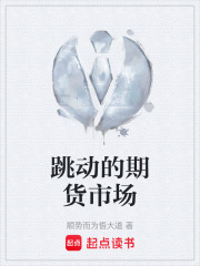 跳动的期货市场在线阅读
