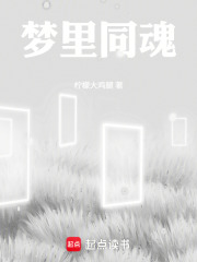 梦里同魂在线阅读