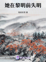 她在黎明前失明在线阅读