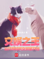 文娱之王：从开局相亲女明星开始封面