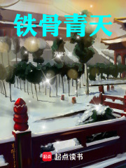 铁骨青天在线阅读