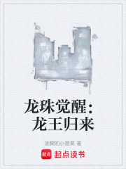 龙珠觉醒：龙王归来在线阅读