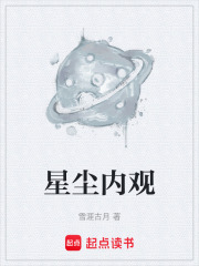 星尘内观在线阅读
