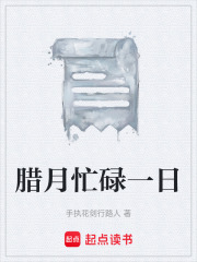腊月忙碌一日在线阅读