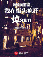 流浪美丽坚我在街头疯狂掉san封面
