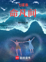 飞碟奉命凡间封面
