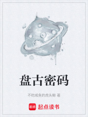 盘古密码在线阅读