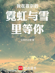 我在首尔的霓虹与雪里等你