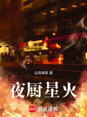夜厨星火在线阅读
