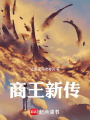 商王新传在线阅读
