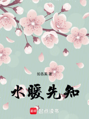 水暖先知在线阅读