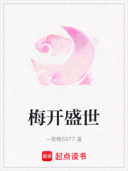 梅开盛世在线阅读