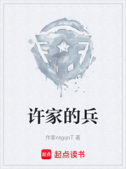 许家的兵在线阅读