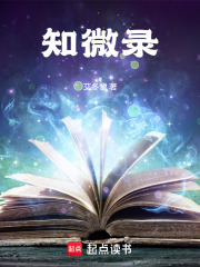 知微录在线阅读