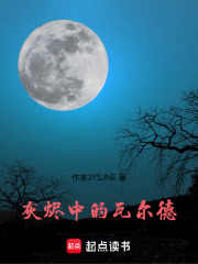 瓦尔德契约在线阅读