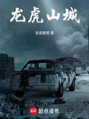 龙虎山城在线阅读