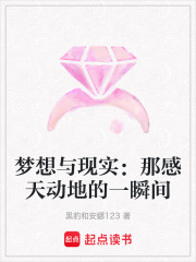 梦想与现实：那感天动地的一瞬间在线阅读