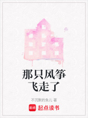 那只风筝飞走了在线阅读