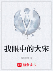 我眼中的大宋在线阅读