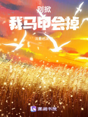 别掀，我马甲会掉在线阅读