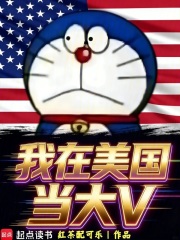 我在美国当大V