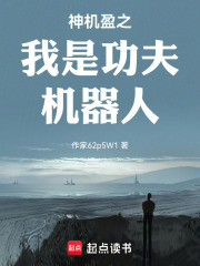神机盈之我是功夫机器人在线阅读