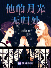他的月光无归处在线阅读