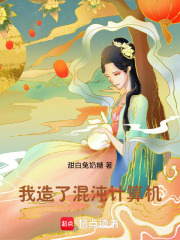 我造了混沌计算机在线阅读