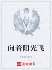 向着阳光飞在线阅读