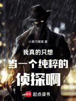 我真的只想当一个纯粹的侦探啊！封面