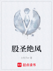 股圣绝风在线阅读