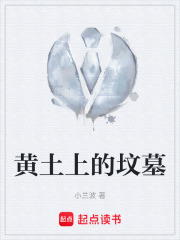 黄土上的坟墓在线阅读