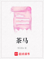 茶马在线阅读