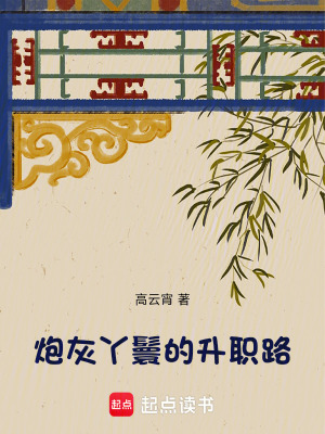 炮灰丫鬟的升职路封面