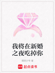 我将在新婚之夜吃掉你在线阅读