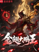 金翅大鹏王封面