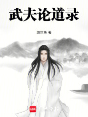 武夫论道录