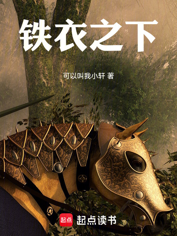 铁衣之下在线阅读