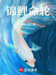 锦鲤命轮在线阅读