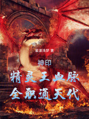 神印：精灵王血脉，全职通天代