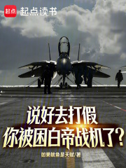 说好去打假，你被困白帝战机了？在线阅读