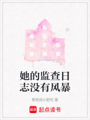 她的监查日志没有风暴在线阅读