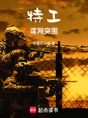 特工谍网突围在线阅读